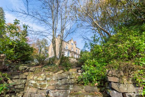 3110W 28 photo_shoot_location_west_yorkshire_garden.jpg