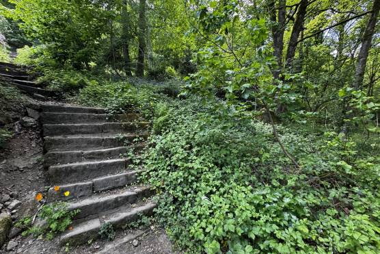 3536W 25 filming location West Yorkshire Traditional family home wooded area