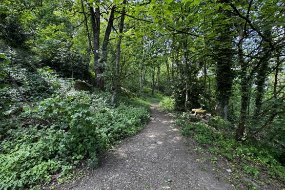 3536W 26 photo shoot location West Yorkshire Traditional family home wooded area