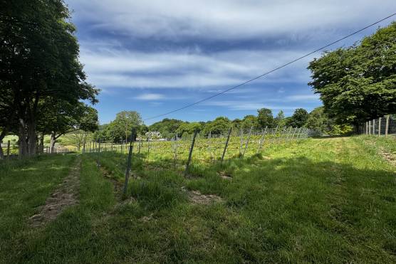3537W 28 tv drama location house in West Yorkshire Period property family home with vineyard