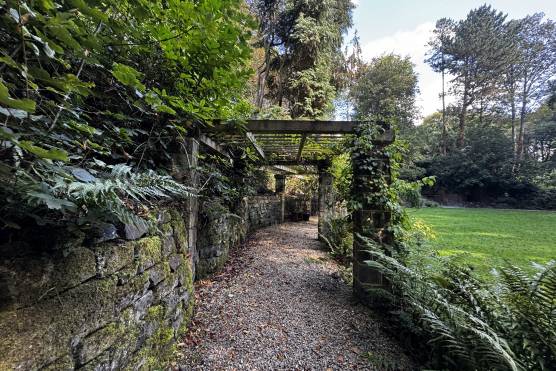 3543W 47 photo shoot location house in West Yorkshire woodland path way.JPG