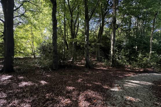 3543W 52 tv shoot location house in West Yorkshire woodland area.JPG