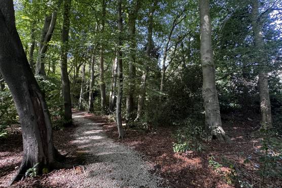 3543W 53 photo shoot location house in West Yorkshire woodland area.JPG