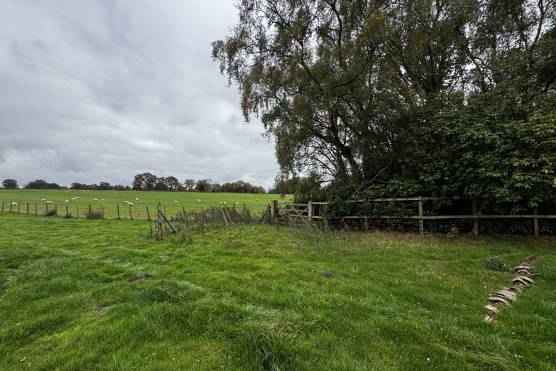 3551C 39 photo shoot location house in Cheshire field .JPG