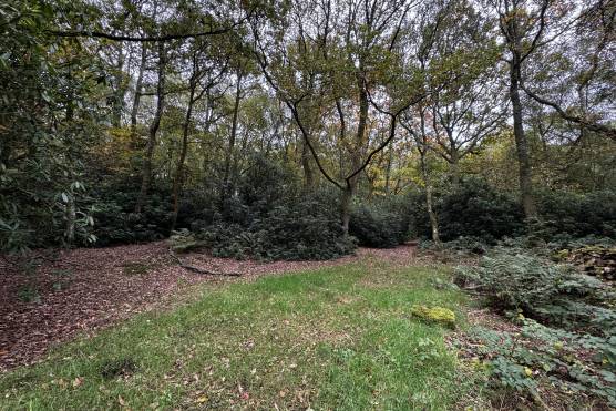 3551C 40 filming location house in Cheshire private woodland.JPG