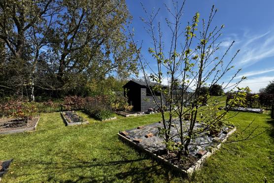 3208N 27 tv commercial location house in North Yorkshire garden allotment.JPG