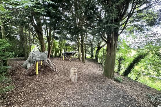 3565L 20 photo shoot location in Lancashire private woodland.jpg