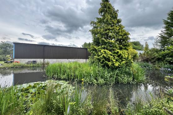 3565L 21 filming location in Lancashire farmland with pond.jpg