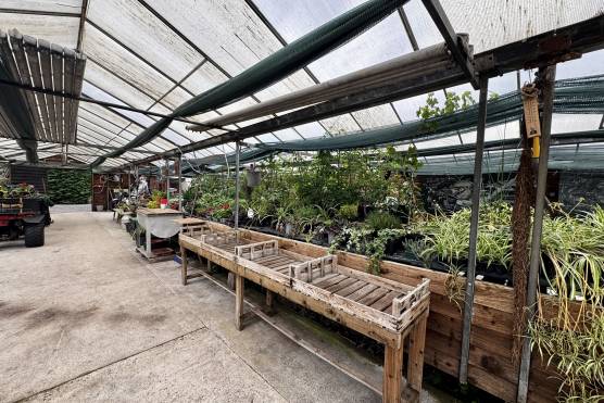 3565L 25 tv drama location in Lancashire private garden nurseries.jpg