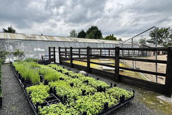 3565L 29 tv drama location in Lancashire private garden nurseries.jpg