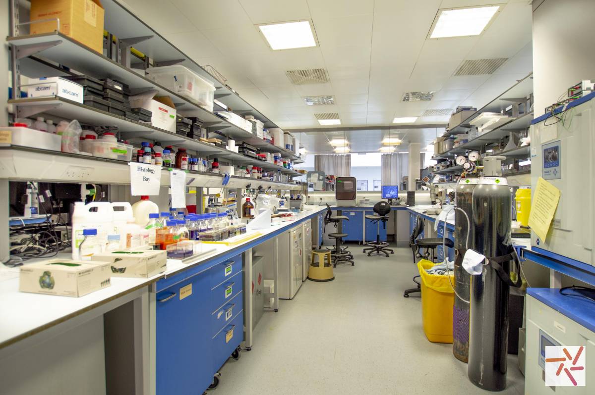 Science laboratory location in Manchester available for photography and